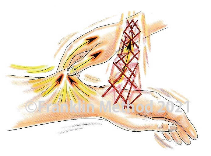 10/23(土)東京 西山晶子WS「筋膜のネットワークを理解しよう」